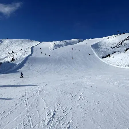 Mihome - Grimming View