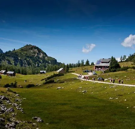 Apartment Mihome - Grimming View