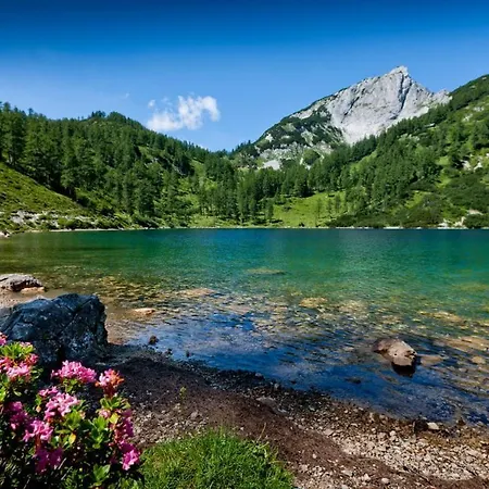 Mihome - Grimming View Apartman