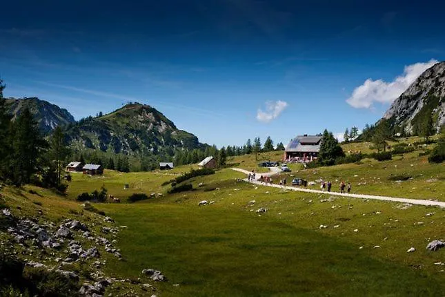 公寓 Mihome - Grimming View