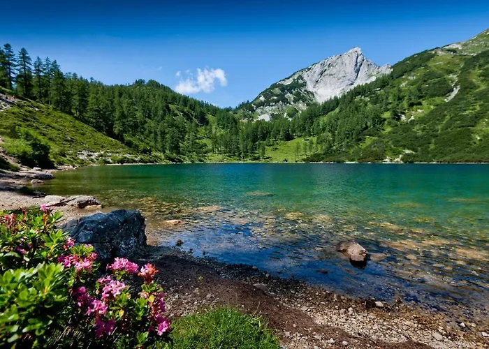 Mihome - Grimming View 公寓